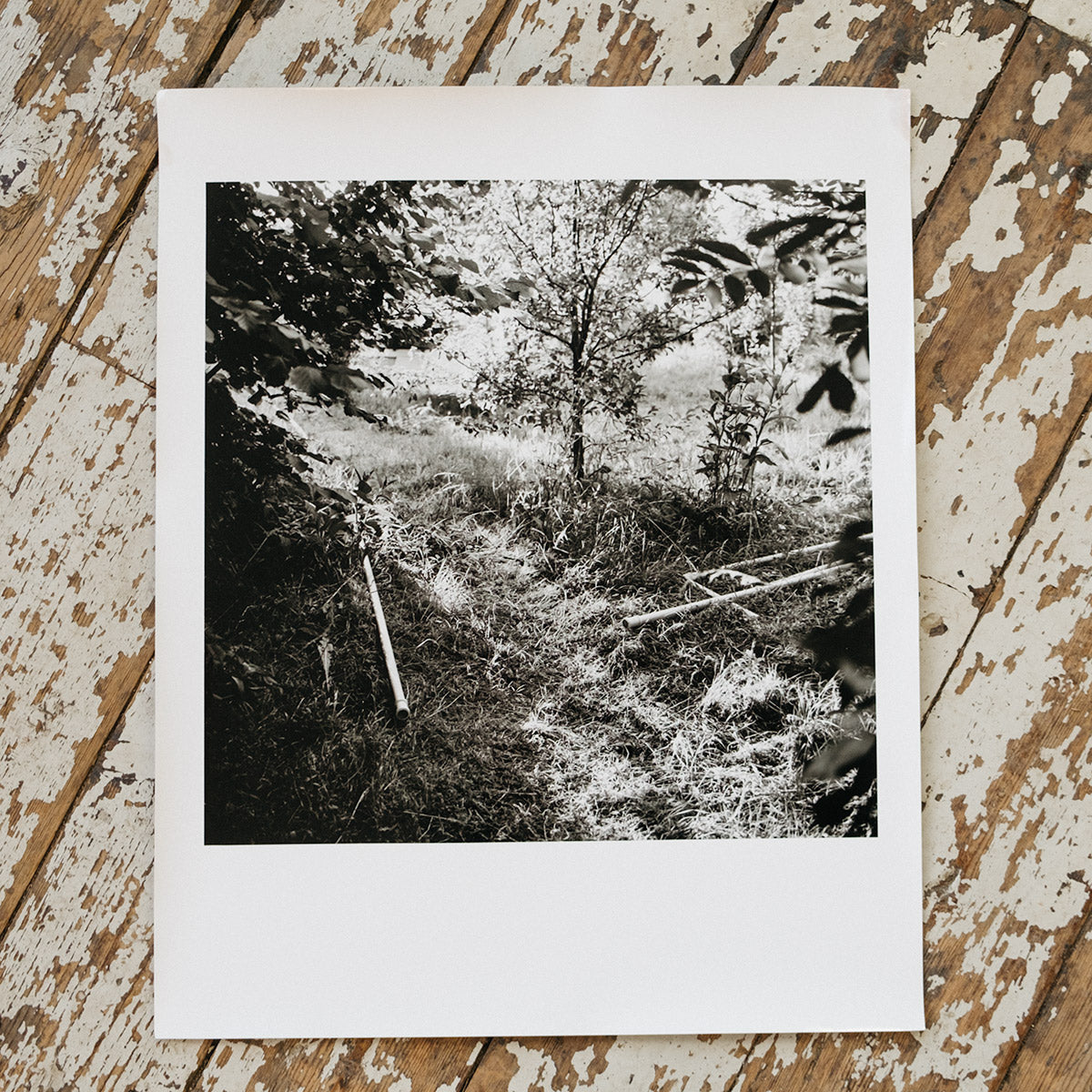 Black & White Hand Printing - Take It Easy Film Lab